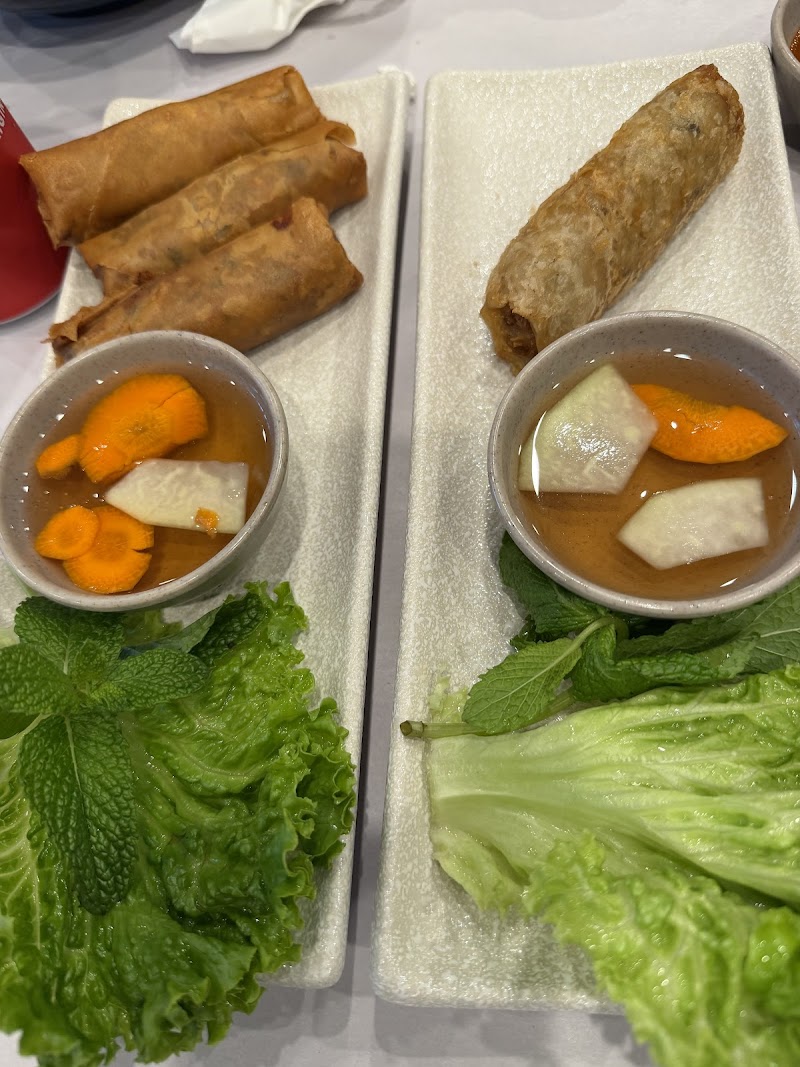 Crispy spring rolls served
