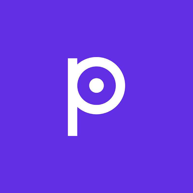 Bold Pilot brand mark