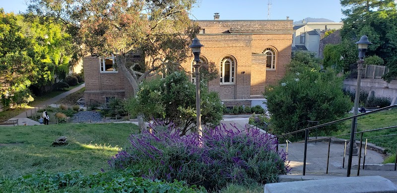 Lush grounds in golden light