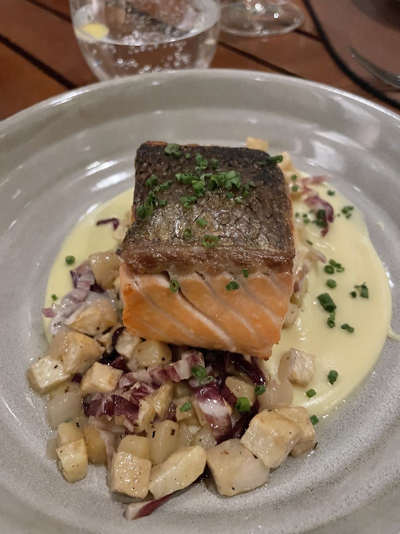 Crispy-skin salmon, creamy sauce