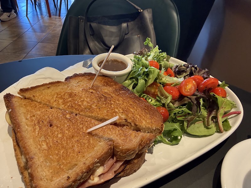 Toasted sandwich with fresh salad