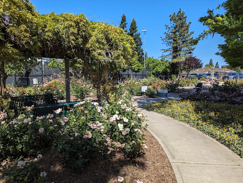 Rose garden shaded walkway