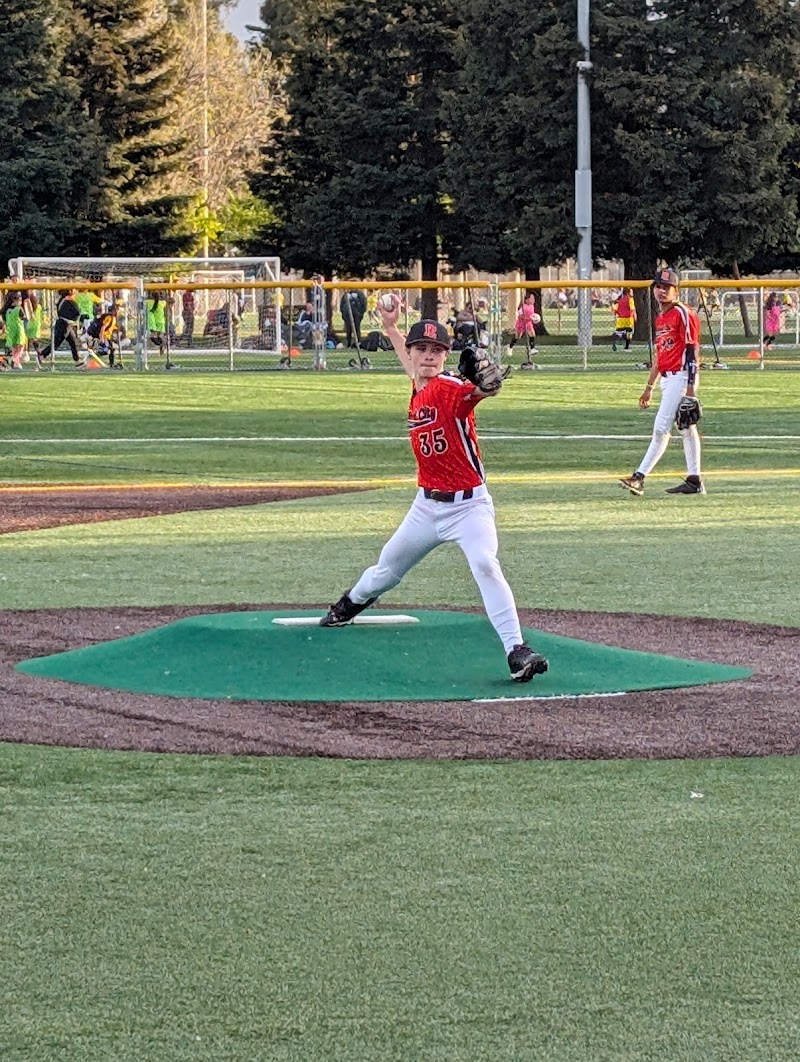 Youth baseball on turf