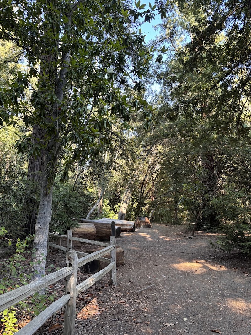Quiet tree-lined nature path