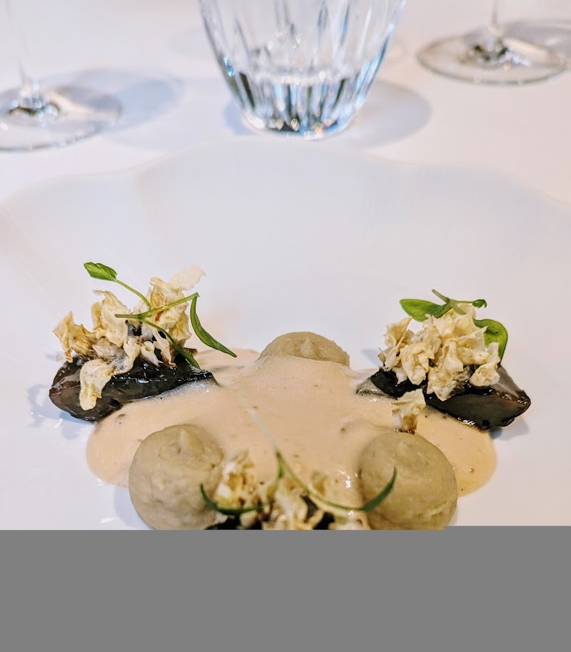 Delicate seafood in velvet sauce