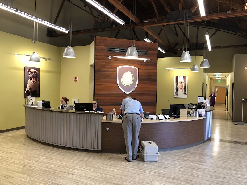 Calm check-in desk