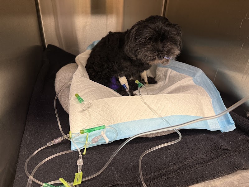 Careful monitoring during recovery