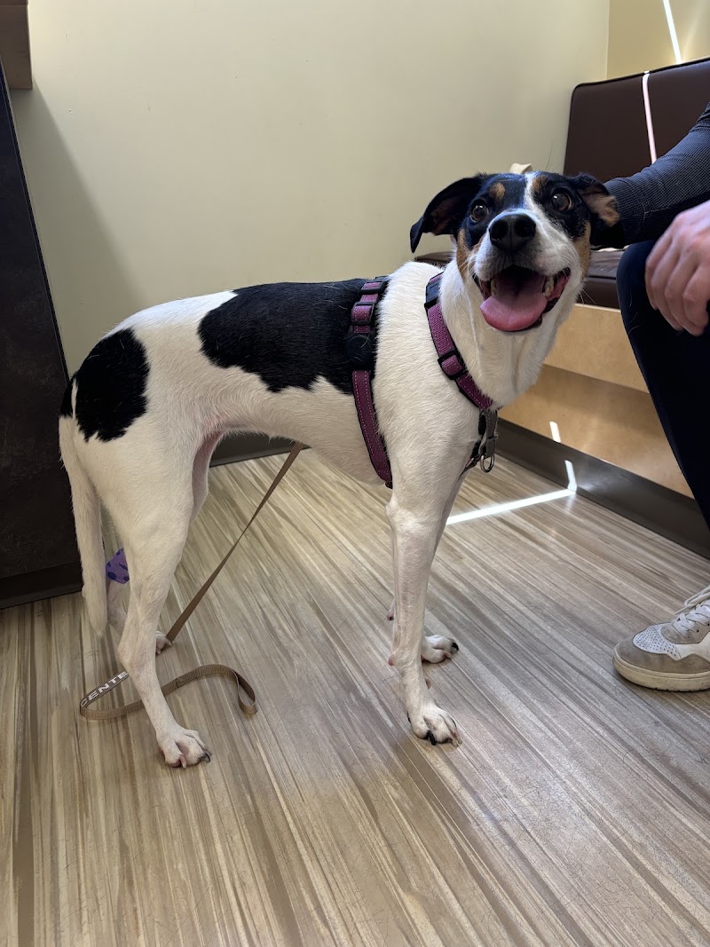 Happy patient, healing well