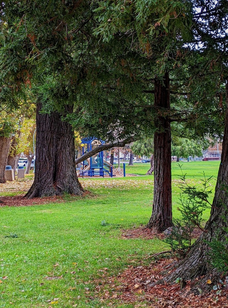 Shaded greens, playground beyond