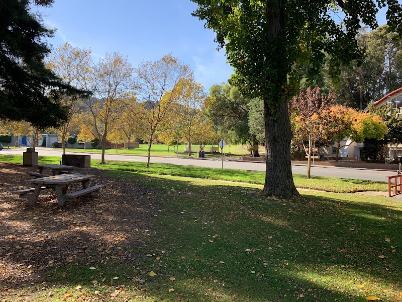 Shaded picnic tables, open lawn