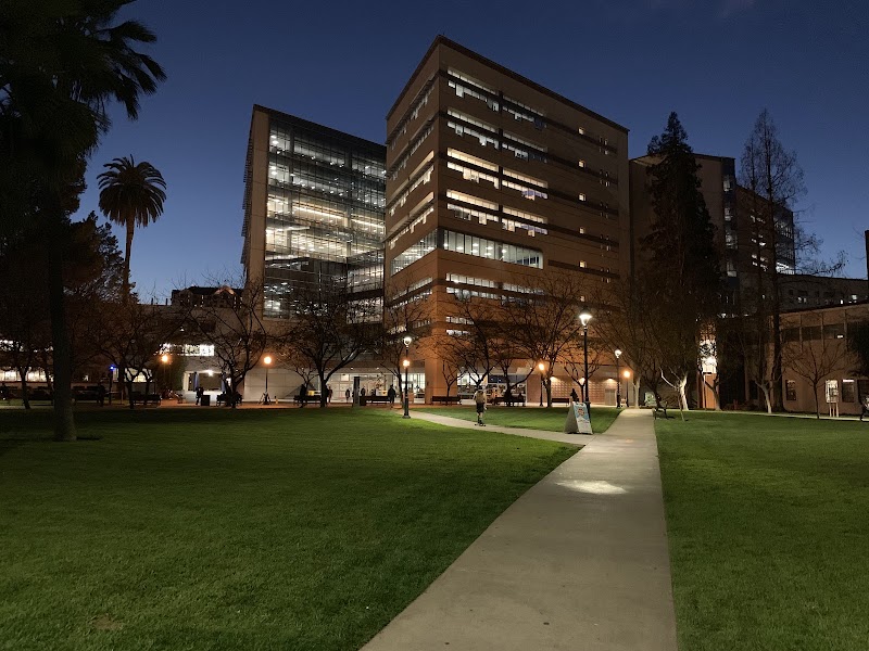Campus alive after dark