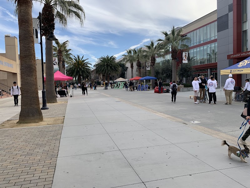 Lively student plaza gathering