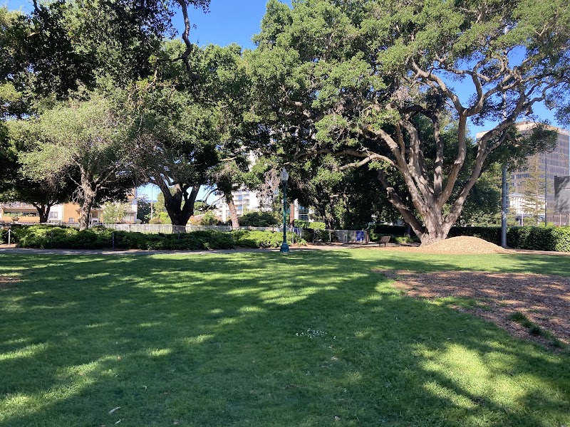 Lush green open lawns