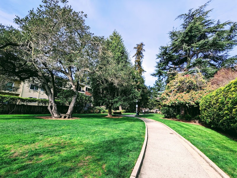 Winding path through green lawns