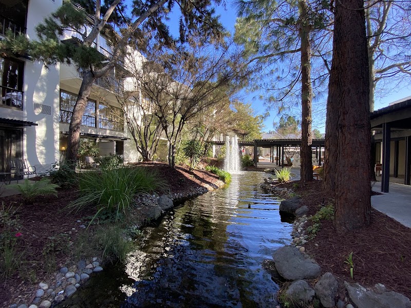 Serene garden waterfall courtyard