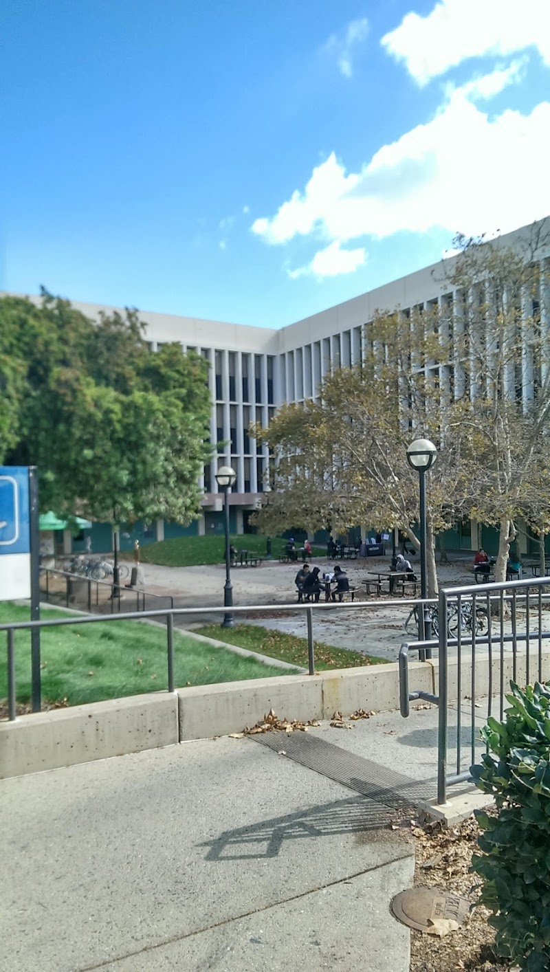 Students gathering in campus courtyard
