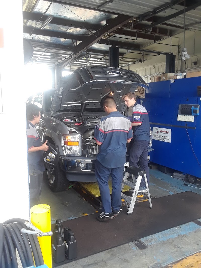 Technicians working under hood