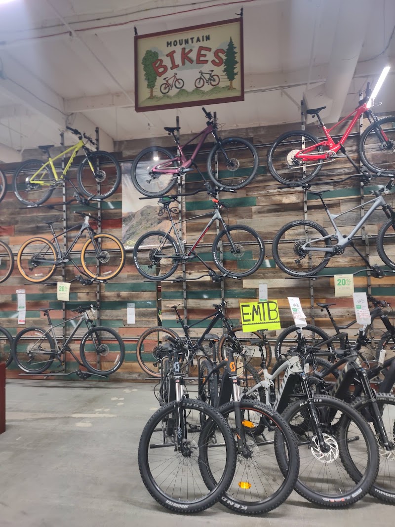 Mountain bikes for every trail