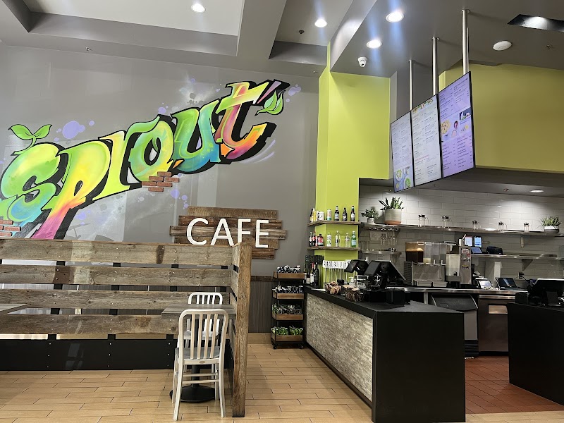 Bright, welcoming cafe interior