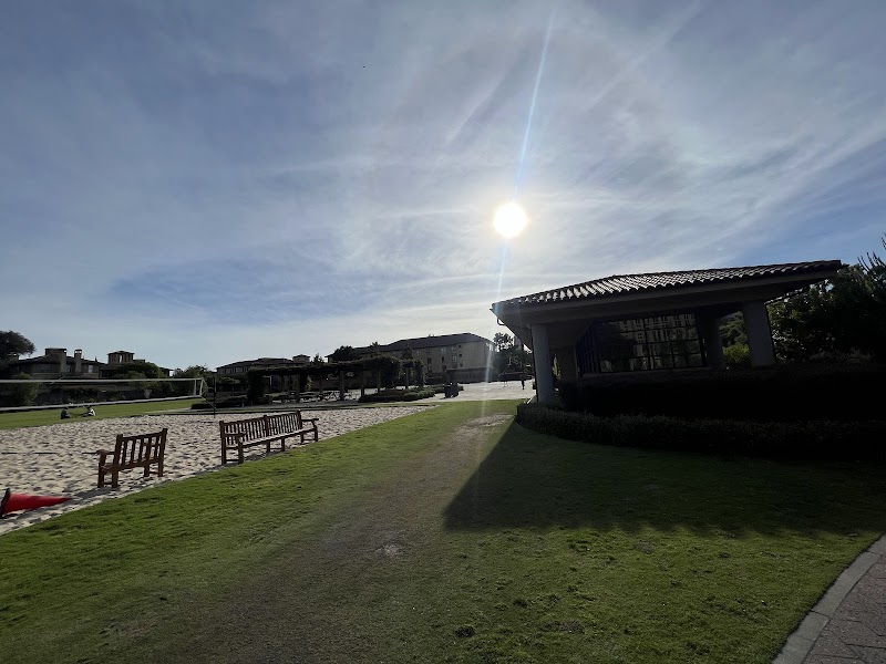 Sunlit outdoor recreation lawn