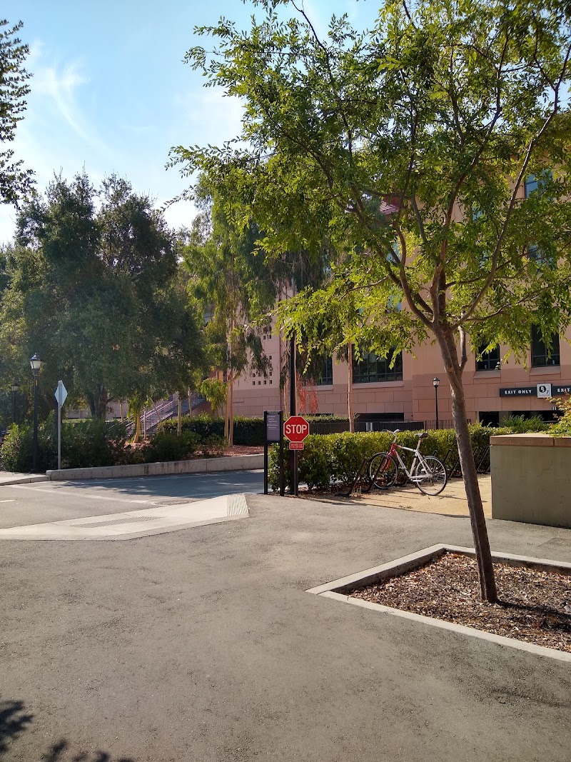 Tree-lined campus pathways