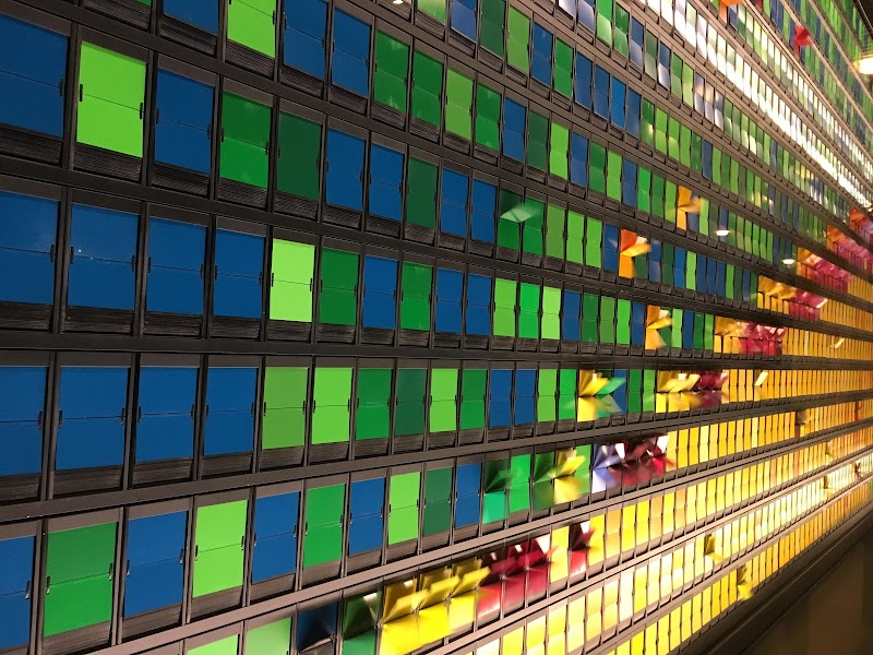Vibrant interior art installation