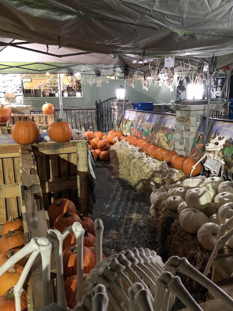 Festive pumpkin patch display