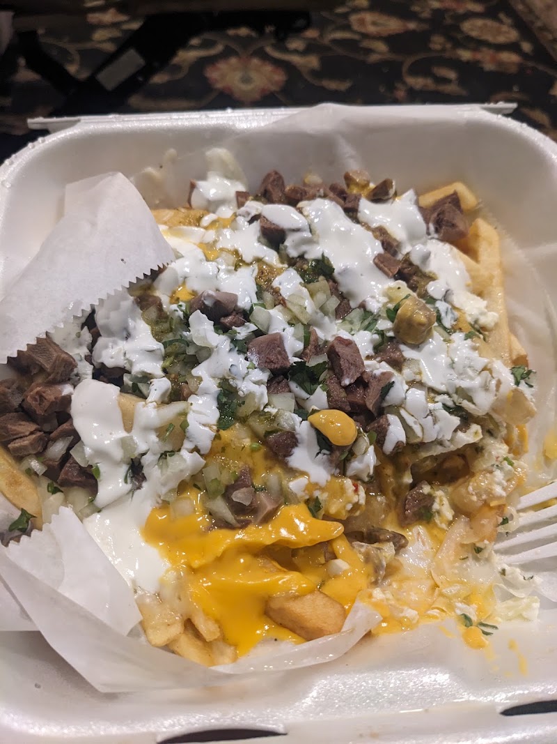 Loaded birria cheese fries