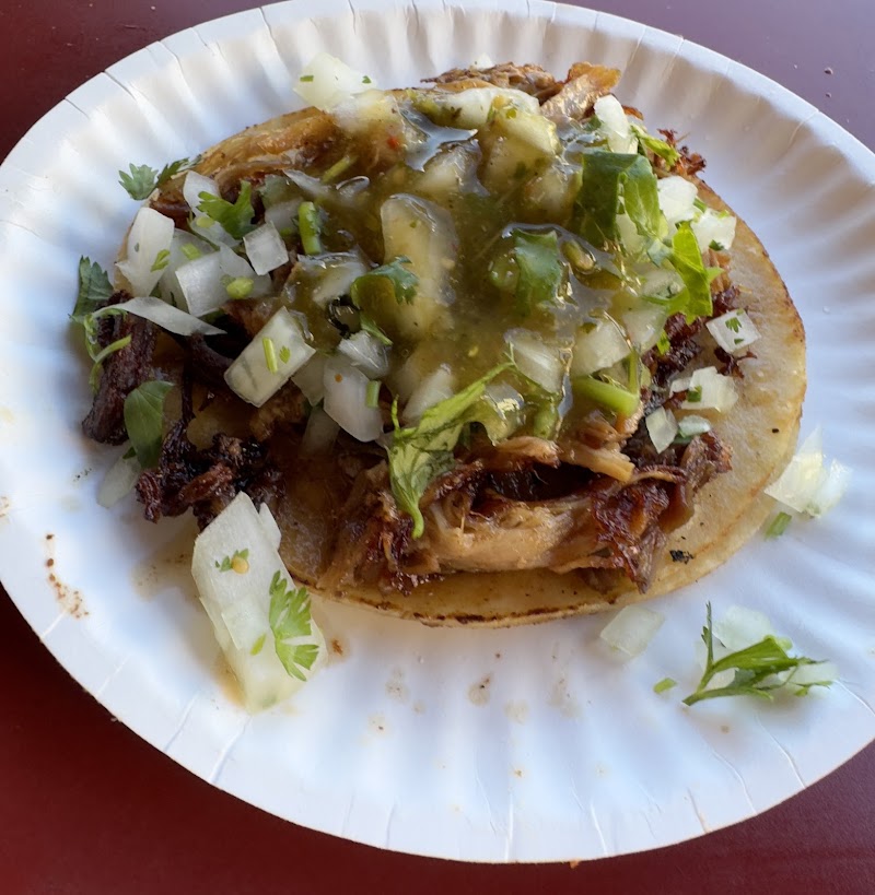 Saucy birria tostada, fresh toppings