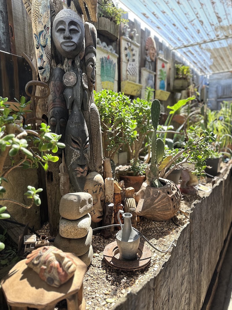Tranquil outdoor succulent garden