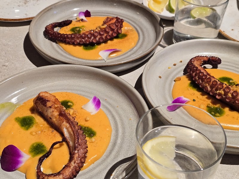 Grilled octopus, vibrant presentation
