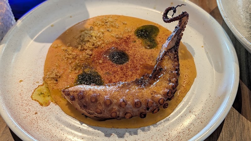 Grilled octopus, rich sauce