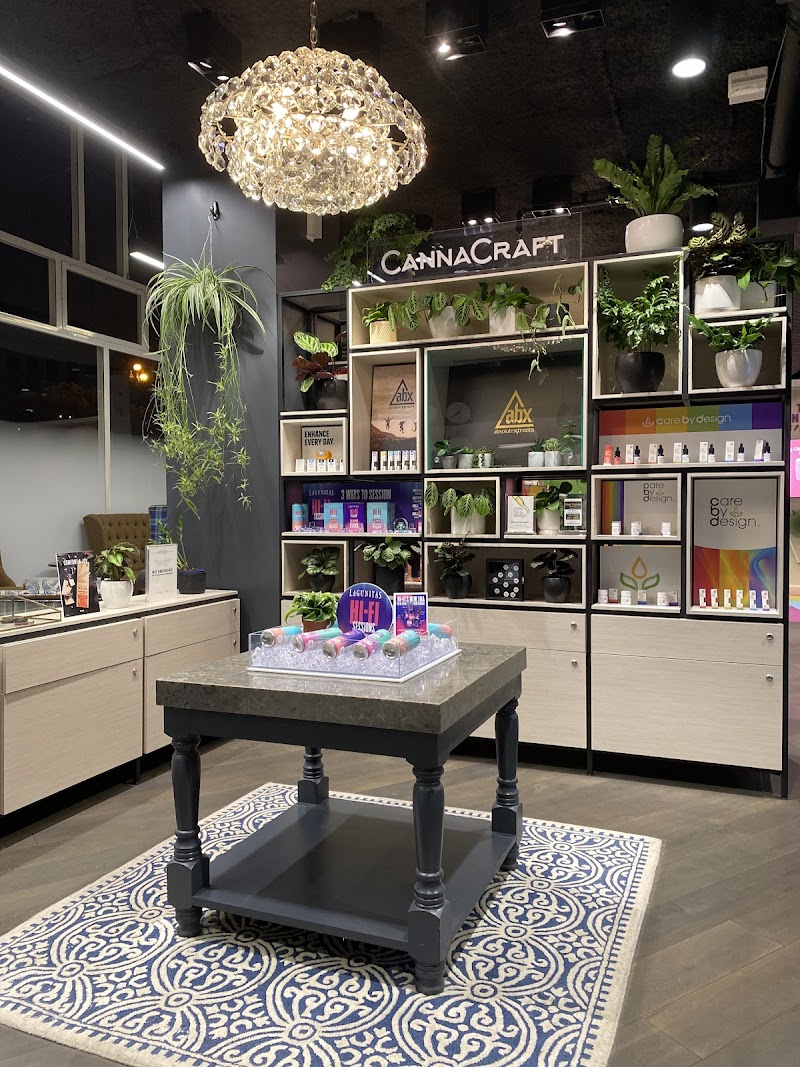 Curated product display shelves