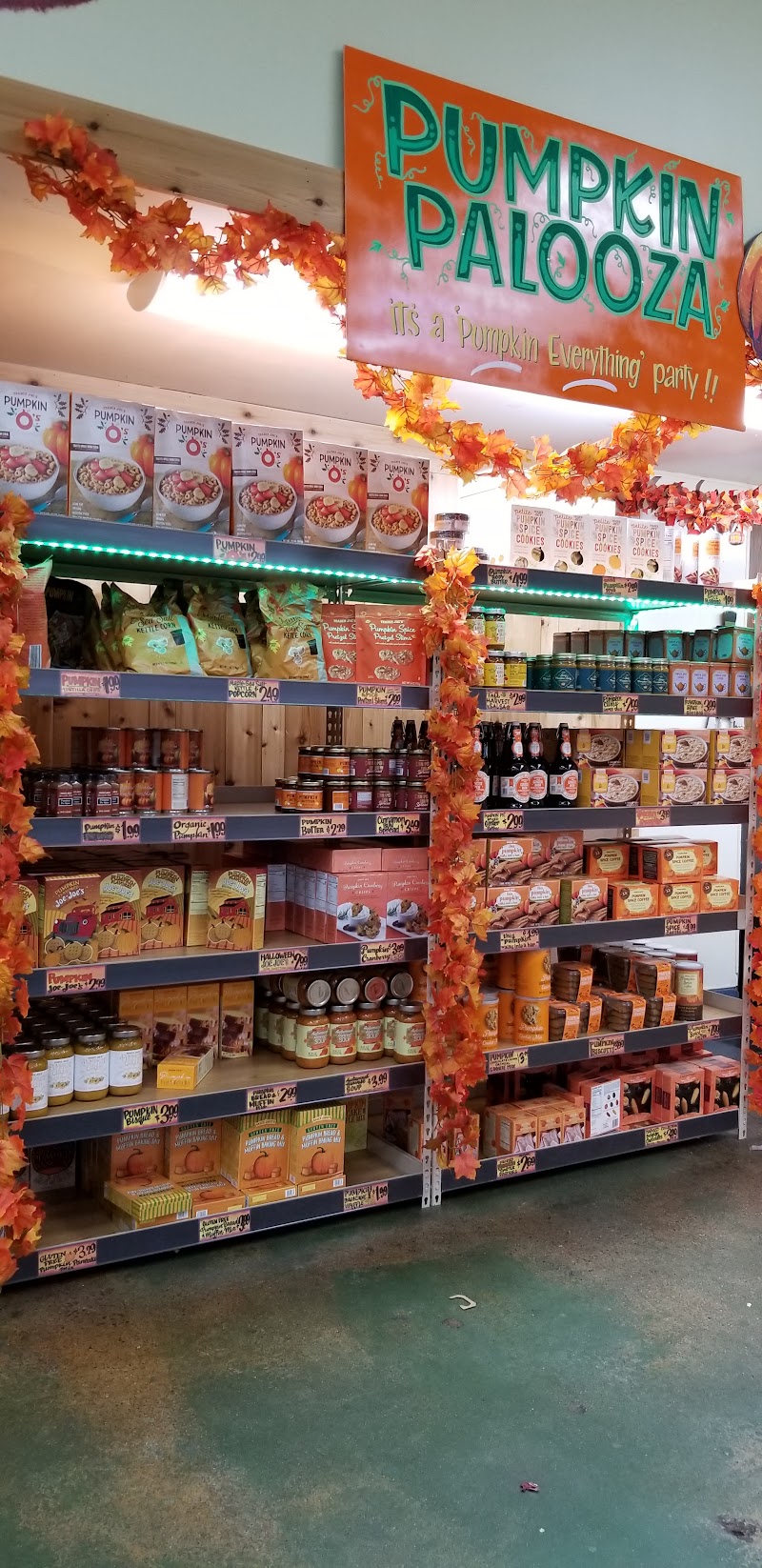 Pumpkin season display