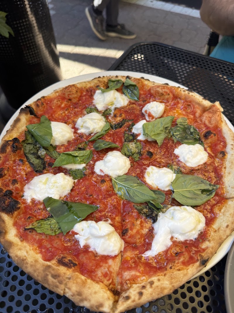 Classic margherita wood-fired pizza