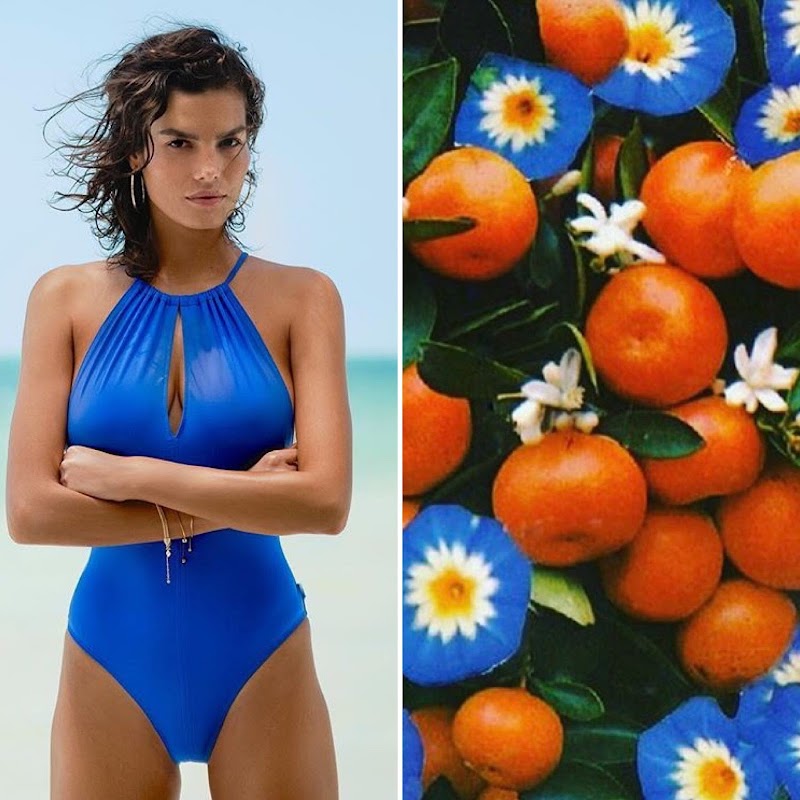 Bold blue, sun-ripened color