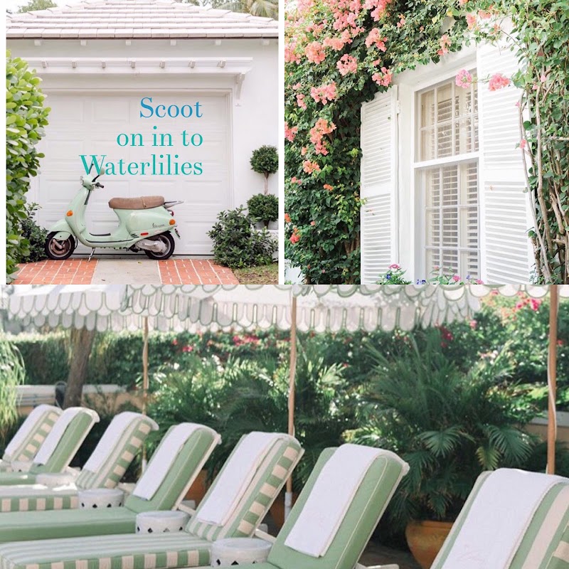 Resort mood, poolside ease