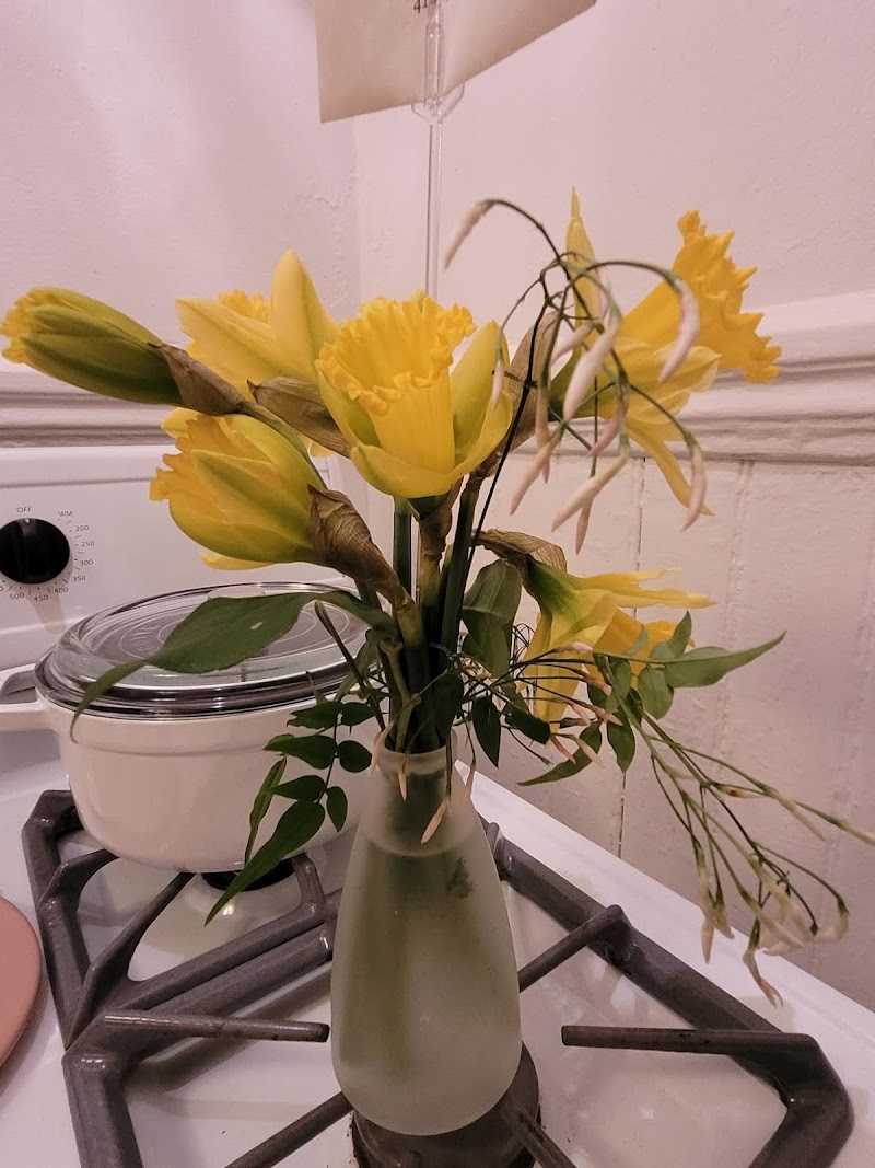 Daffodils brightening everyday moments