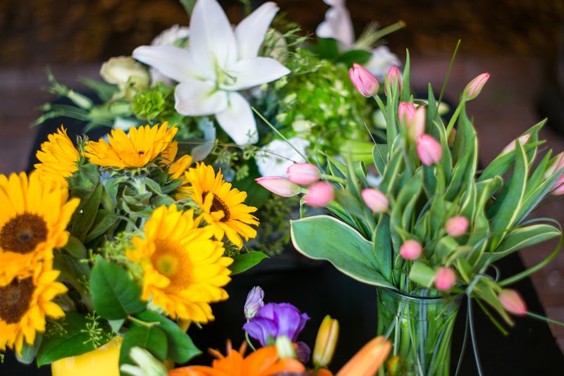 Sunflowers and tulips, freshly gathered