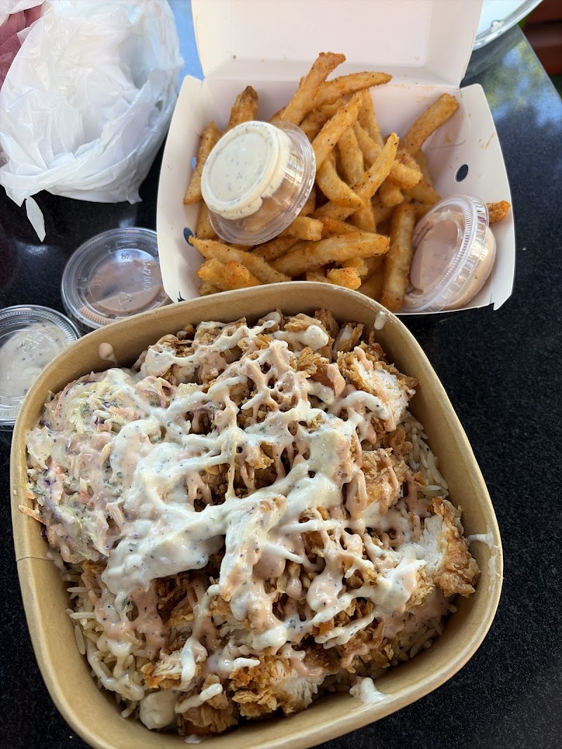 Zingsters - Palo Alto