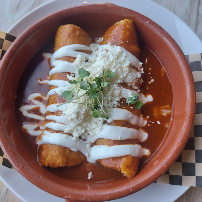 Enchiladas in rich sauce